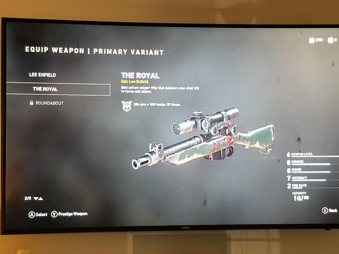 A picture of the weapon in the game.