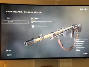 A picture of the rifle in the game.