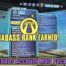 A bunch of borderlands 2 mods are in the game