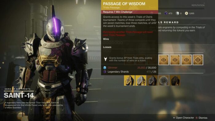 A close up of the passage of wisdom item in destiny.