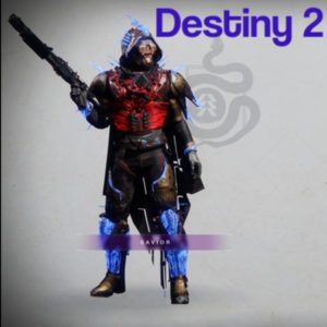 A picture of a character from destiny 2.