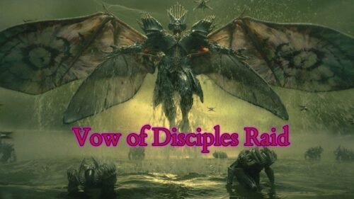 A picture of the wow of disciples raid